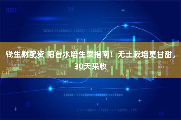 钱生财配资 阳台水培生菜指南！无土栽培更甘甜，30天采收